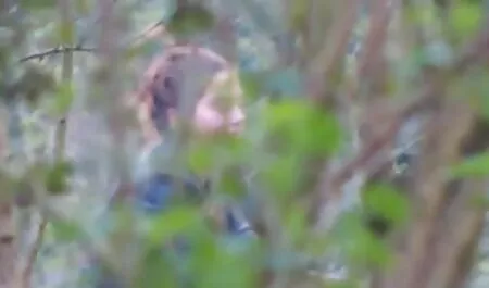 La bomba video amatoriale italiani porno bionda si occupa di un principiante Formoso