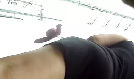 Estrema adolescente Scopata Pugno da due vecchi pervertiti video porno coppie amatoriali italiane